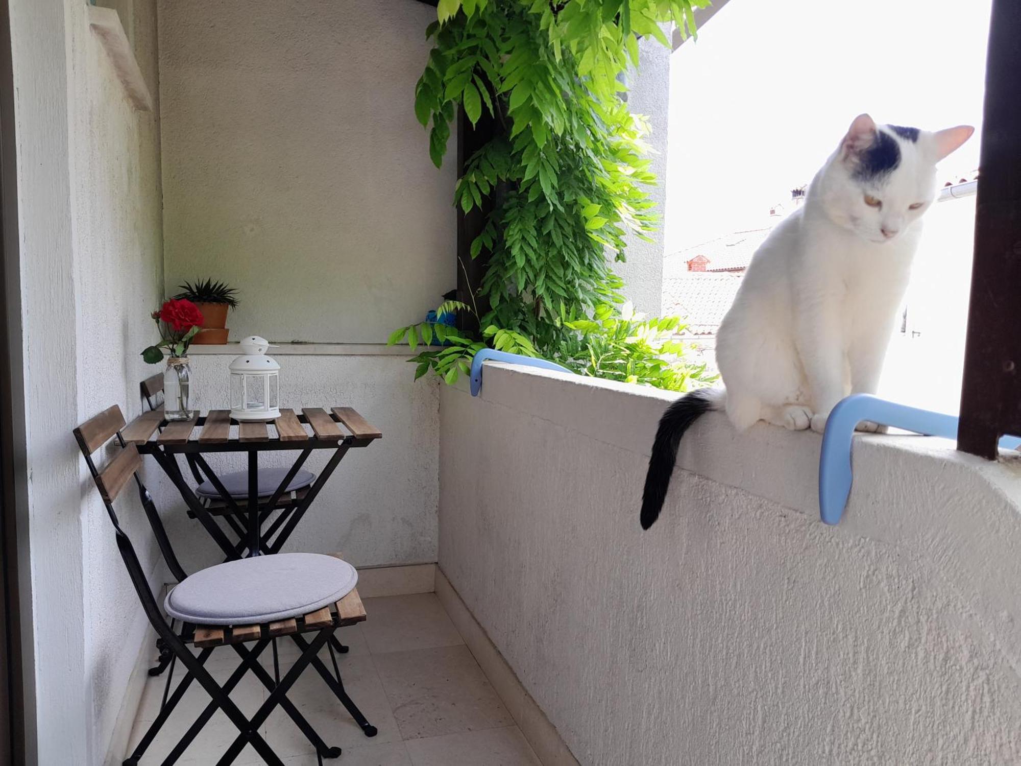 Apartments Renata - Brseč エクステリア 写真