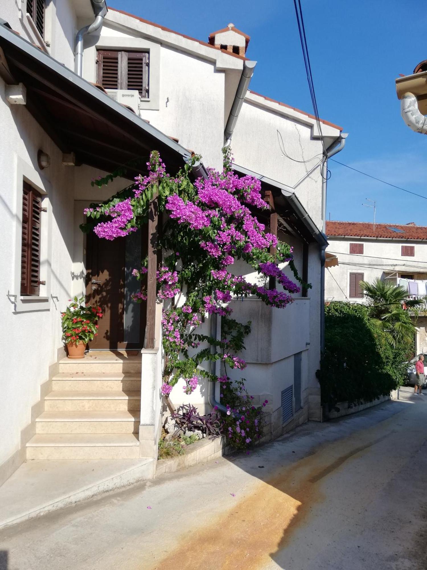 Apartments Renata - Brseč エクステリア 写真